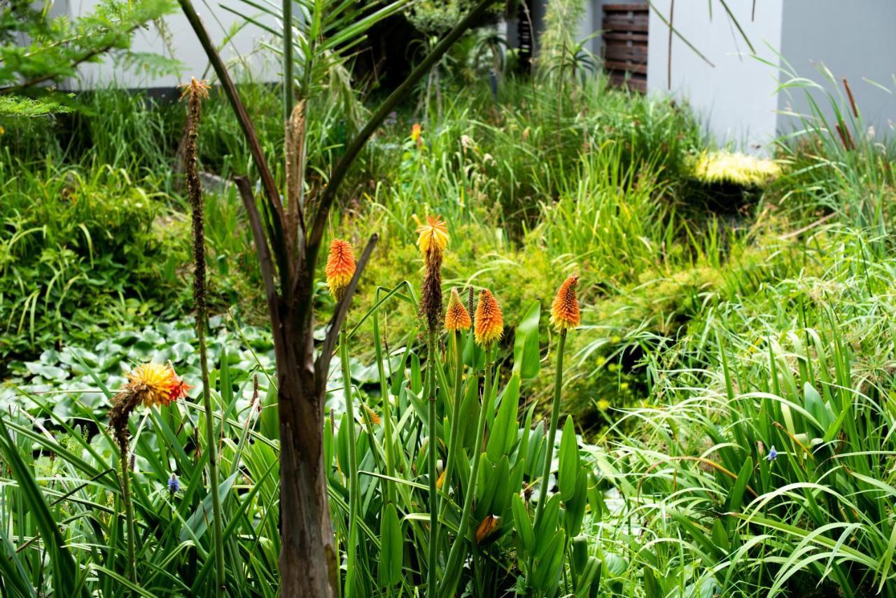 Seven Villa Hotel & Spa Johannesburg Exterior photo A view of the garden